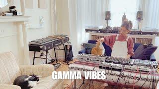 Gamma Vibes - Chill Acid Electronic Jam with my cats and favorite gear!