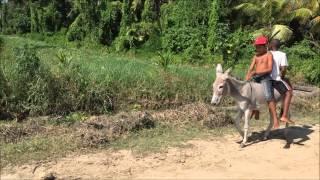 Biofuel 4Matic Ride in Mahaica Backdam