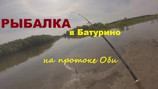 Рыбачим на спиннинг в протоке Оби в Батурино на окуня и судака.