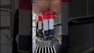 Cow milking sensor in Japan | ஜப்பானில் பால் கறக்கும் சென்சார்