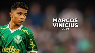 14 Year Old Marcos Vinicius is the Future of Football and Palmeiras 