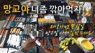 태국가면 꼭 해야할일 / 망고먹기 / 망고칼 사서 실컷 깎아먹기!