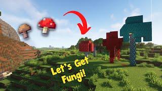 How to Grow Mushrooms in Minecraft