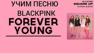 Учим песню BLACKPINK FOREVER YOUNG