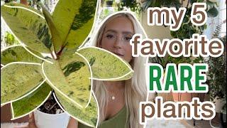 5 of my favorite RARE PLANTS