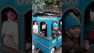 Gwalior Zoo | Kids Train | Digital Gwalior News