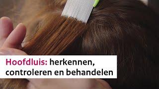 Hoofdluis : herkennen, controleren en behandelen