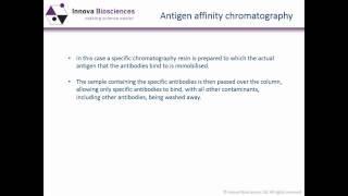 Antibody Purification Webinar: What you need to know to use antibodies effectively