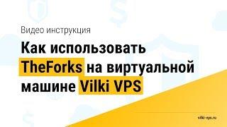 Вилки для новичков. Как запустить TheForks на виртуалке Vilki VPS?