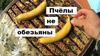 Пчёлы, бананы и виноград