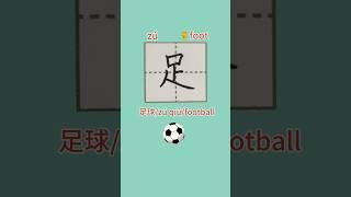 82 【足zú】Chinese character strokes for beginner/read and write foot in Chinese