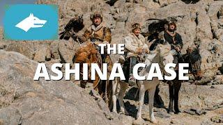 The Ashina Case - Origin of the Gokturks