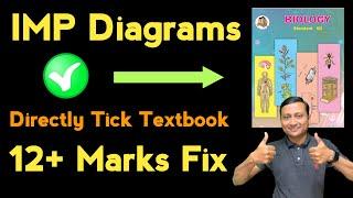 Biology Important Diagrams | HSCBOARDS@2024 | Digambar Mali #biology  #boardexam #biologyclass12