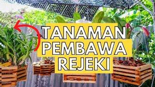 14 Jenis Tanaman Pembawa Rejeki Menurut Fengshui