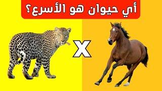 تحدي عن الحيوانات | من هو الحيوان الأسرع؟ ​​