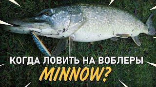 Когда лучше ловить на воблеры минноу?