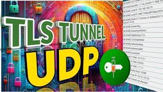 How to setup TLS Tunnel for Fast UDP server