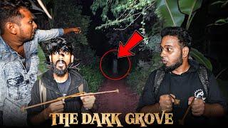 The Dark Grove !