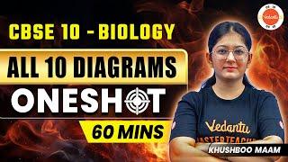 All "10" Diagrams of Class 10 Biology in One Shot | CBSE Board Exam 2024 | Science