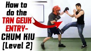 DANGEROUS Wing Chun Techniques - How to do the Tan Geuk Entry - Chum Kiu (Level 2)