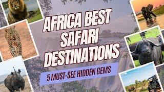 Top 5 African Safari Destinations: Plan Your Dream African Safari Holiday That Will Blow Your Mind!