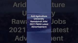 Arid Agriculture University Rawalpindi Jobs 202| How to apply for Pir Mahar Ali Shah University jobs