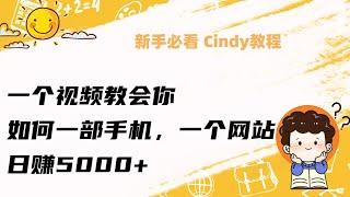 2023网赚项目| 灰产| 网络赚钱| 利用 USDT 赚钱| 10分钟就能到5000的最新 网赚教程（真实网站测试录制）