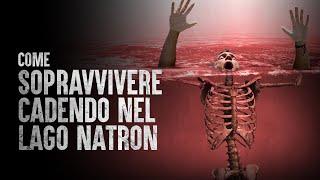 Come Sopravvivere Cadendo nel Lago Natron