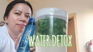 DIY WATER DETOX  #healthy #lifestyle