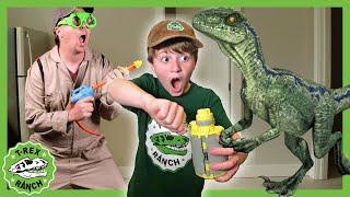 Baby Dinosaur in the House - Baby Raptor  T-Rex Ranch Dinosaur Videos