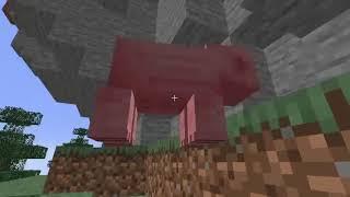 Pig.mp4