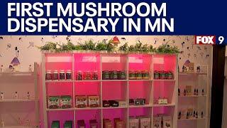 First MN mushroom dispensary opens in St. Paul