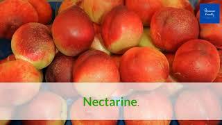 Correct Pronunciation Of Nectarine | 2020 |