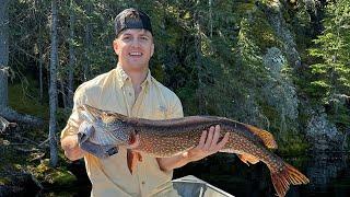 Fly-In Fishing for Walley and Pike Deep in the Remote Canada Backcountry with Wilderness Air Escapes