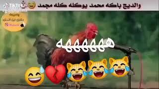 الديج باك محمد يسوي كله مجمد