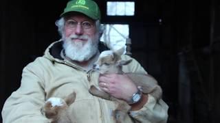 How to Take Care of Nigerian Dwarf Goat Pets