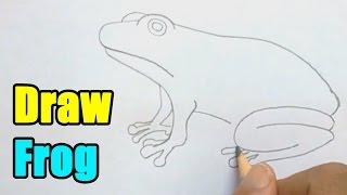 How to Draw a Frog - Very Easy