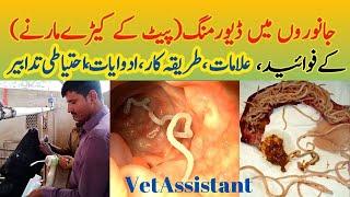 Deworming of Farm Animals |Deworming for animals  | VetAssistant