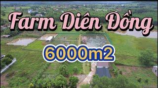 BÁN ĐẤT DIÊN ĐỒNG DIÊN KHÁNH ĐÃ CÓ FARM SET UP SẴN | Nhà và Đất Khánh Hoà 79 |