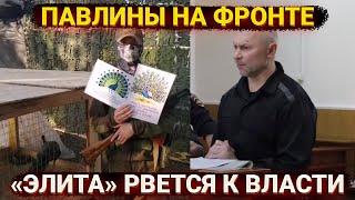 Учения НАТО, павлины на фронте и проверка ориентации чиновников