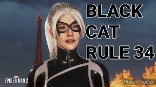 Black Cat Rule 34 Is Something