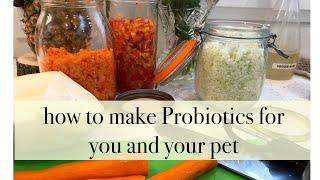 How to make Probiotics for you and your pet
