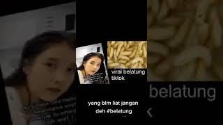 video viral#belatung
