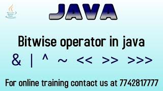 bitwise operators in java in hindi