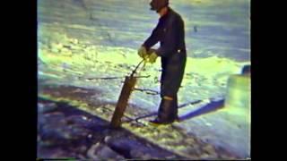 Twillingate 1939 by Dr. Robert Ecke.avi