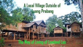 An Interesting Local Village Outside of Luang Prabang || The Way of Living of Lowland Lao People