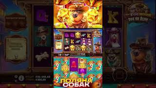 лютый занос в собаках, закрыл все слоты #slot #casino #crazy #maxwin #заносынедели