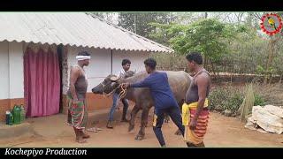 Kada gonog // New santali comedy video 2024 // Kochepiyo Production