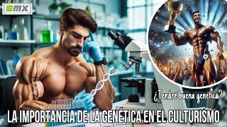  La importancia de la genética en el culturismo 