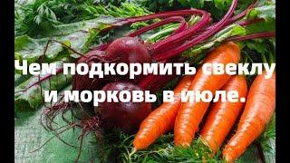 ЧЕМ ЛУЧШЕ ПОДКОРМИТЬ СВЕКЛУ И МОРКОВЬ ДЛЯ БОЛЬШОГО УРОЖАЯ.